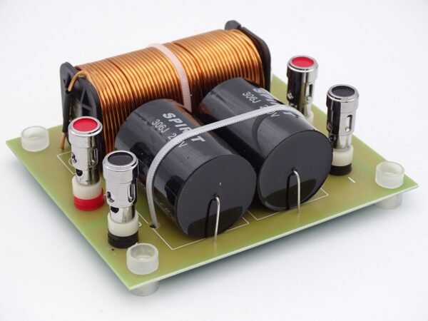 filtre-subwoofer-125-Hz-4-Ohms-1000-watts-sur-la-boutique-du-haut-parleur