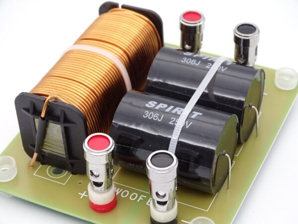 filtre-subwoofer-125-Hz-4-Ohms-1000-watts-sur-la-boutique-du-haut-parleur