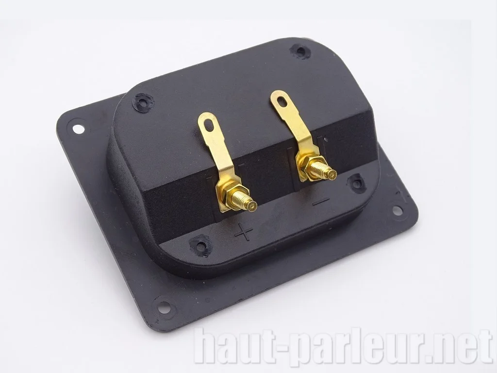 Bornier Enceinte Rectangulaire Contacts Dorés