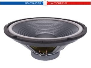 Haut-parleur grave Hi-Fi 302 mm 100 W 8 ohms membrane papier