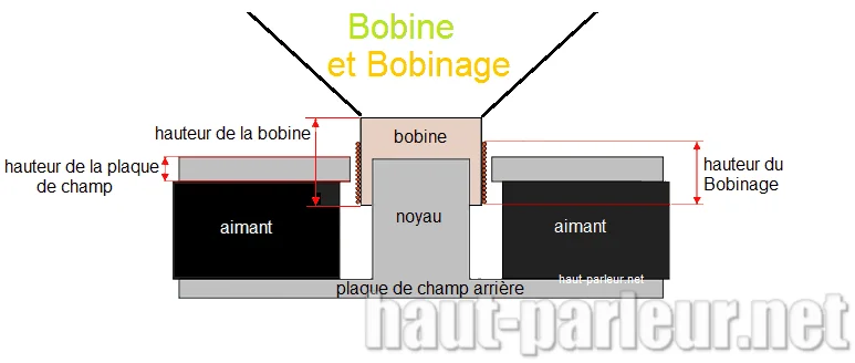 Bobine mobile d'un haut-parleur
